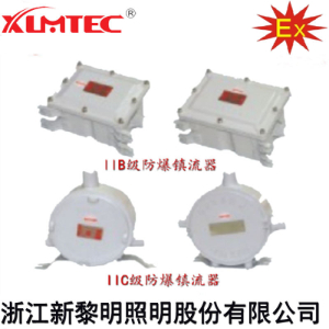 BdH系列防爆镇流器(IIB、IIC)