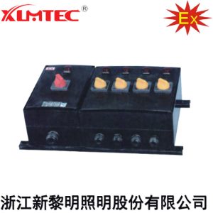 BXM(D)8030系列防爆防腐照明(动力)配电箱(IIC、Ex tD)